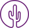 Purple Cactus Properties, Worcester
