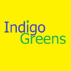 Indigo Greens
