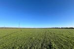 Caldicot NP26