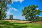 Land - Tenbury Wells, Worcestershire