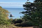 Smugglers Lane, Dawlish