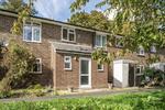 Coney Green, Winchester, SO23
