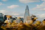 The Wilderly Tower, London SE17